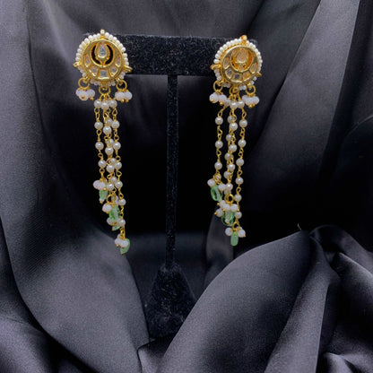 Paro- Meenakari Earrings